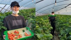 BTS 防弹少年团 SUGA 分享采草莓大笑照，网友：看来草莓要热销了～